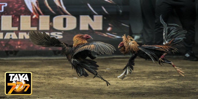 High-Octane Matches