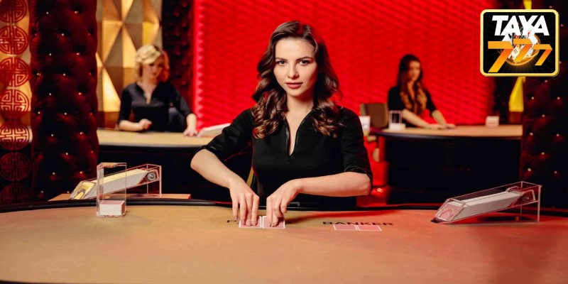 Attractive and Professional Dealers