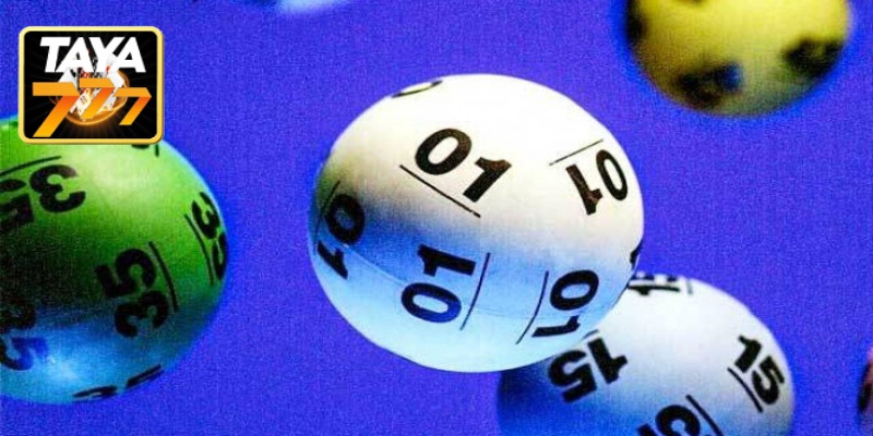 Refer to Lottery Prediction Sites
